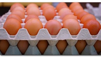 تعرف على سعر كرتونة البيض اليوم 9 نوفمبر للمستهلك فى السوق المحلية