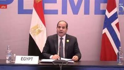 نص البيان المشترك بين مصر والاتحاد الأوروبي بشأن الهيدروجين المتجدد