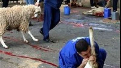 تعرف على أحكام وشروط الأضحية وأفضل وقت للذبح