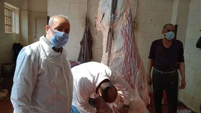 مجازر القليوبية تستقبل المواطنين في أول أيام العيد