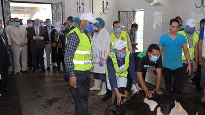 محافظ بني سويف يشهد أعمال ذبح الأضاحي ومدير الأمن يهنئه بالعيد.. صور