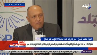 فيديو| وزير الخارجية: الهيئة القضائية فوق الشبهات.. ومصر لا يستطيع أحد أن ينال منها