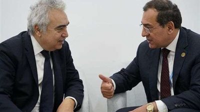 مائدة مستديرة في قمة COP27 لدعم التحول الطاقى لقارة أفريقيا