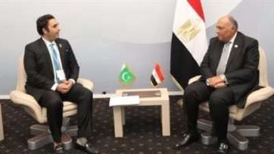 وزير خارجية باكستان يدعو سامح شكرى لزيارة إسلام أباد مطلع العام المقبل