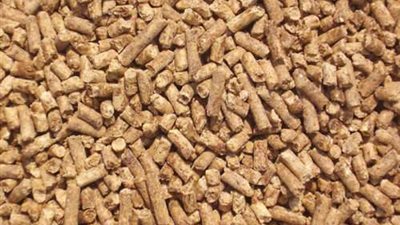 سعر علف الدواجن اليوم الجمعة 11 نوفمبر في الأسواق