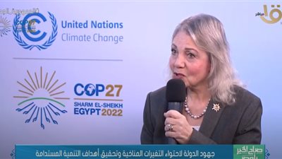 عميد بـ الجامعة المصرية اليابانية: التنمية المستدامة من أهم أركان استراتيجيتنا