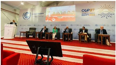 أيمن عاشور: يشارك في جلسة بعنوان 