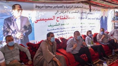 نائب محافظ الإسكندرية تتابع أعمال التطوير بقرية 