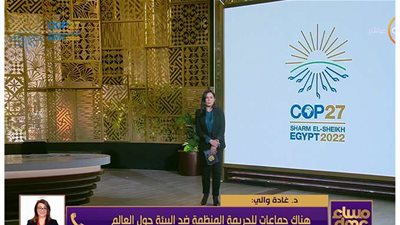 فيديو| غادة والي: هناك جرائم محددة ترتكبها جماعات للجريمة المنظمة تضر بالبيئة