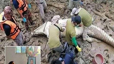 مأساة مروعة..  شاهد|| لحظة العثور على 