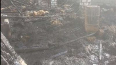 مصرع طالب وإصابة عامل ونفوق 61 حيوانا في حريق 11 منزلا في سوهاج