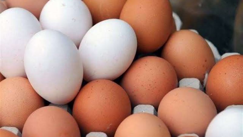 أسعار البيض