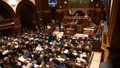 استحداث حوافز ضريبية.. مجلس الشيوخ يوافق على تعديل بعض أحكام قانون الاستثمار