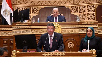 النائب حازم عمر يستعرض تقرير قانون السلك الدبلوماسي أمام الجلسة العامة لمجلس الشيوخ