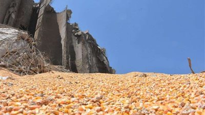 كارثة.. هكذا أثر انفجار بيروت على الأمن الغذائي للشعب اللبنانى