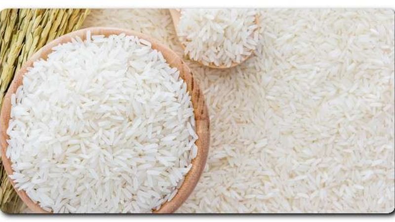 أسعار الأرز اليوم