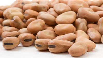 أسعار الفول اليوم الثلاثاء 15 نوفمبر في السوق المحلي