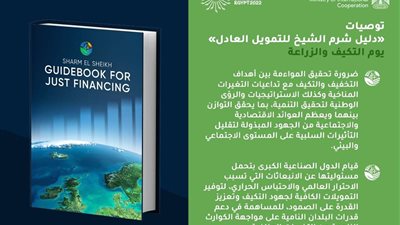 دليل شرم الشيخ للتمويل: تريليون دولار سنويا للوصول لتنمية منخفضة الكربون