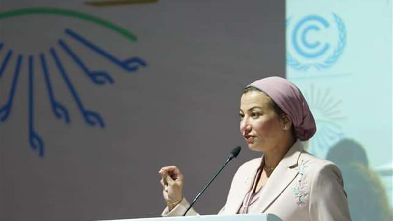 ياسمين فؤاد وزيرة