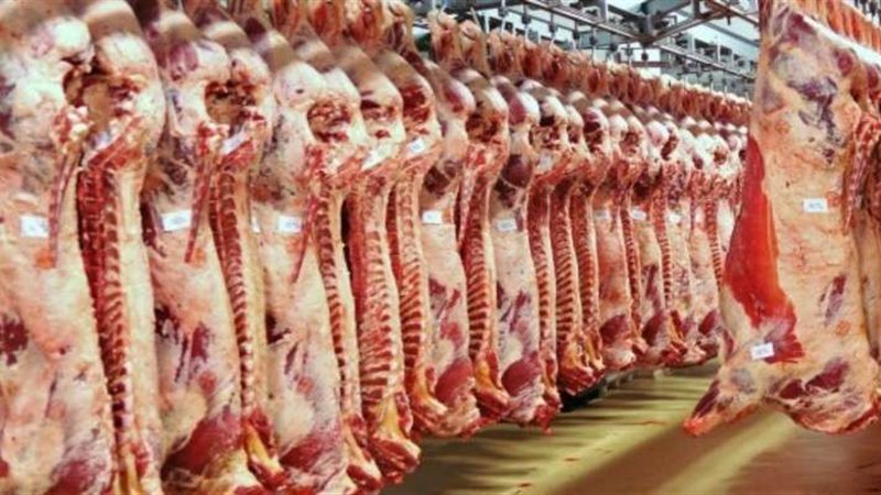 ضبط3 أطنان لحوم فاسدة