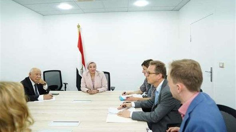 ياسمين فؤاد وزيرة