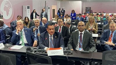 آمنة: الحكومة المصرية تدعم جهود الدول في التصدي لآثار التغيرات المناخية