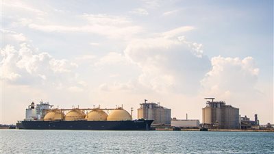 ميناء دمياط يستقبل 26 سفينة خلال 24 ساعة