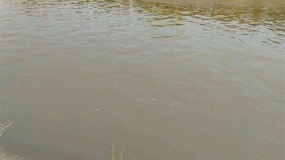 مصرع طفلين غرقا بمياه الترع في سوهاج