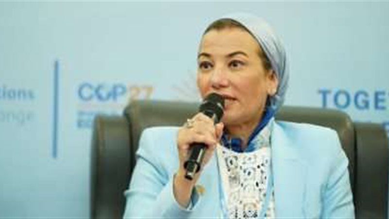 ياسمين فؤاد وزيرة