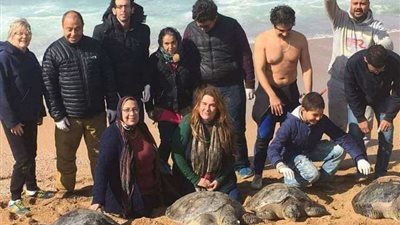 رئيس فريق إسكندرية لإنقاذ الحياة البرية تروي أصعب 3 حالات واجهتها