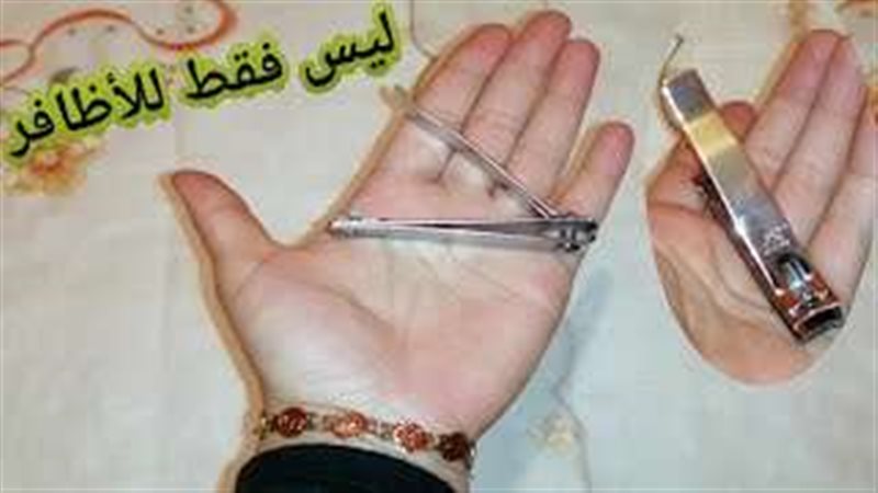 القصافة