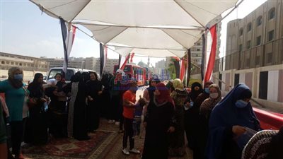 شاهد.. إقبال كبير من الناخبين على لجان حلوان في انتخابات الشيوخ