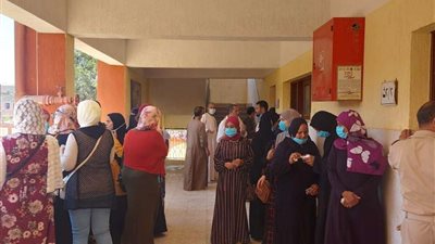 بالفيديو.. إقبال كثيف من المواطنين للمشاركة في انتخابات الشيوخ باليوم الأول
