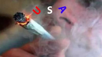 ترخيص بيع الحشيش.. ولاية نيويورك تصدر 36 ترخيص بيع القنب لإنشاء سوق قانوني ومربح