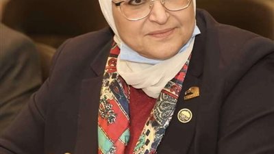 النائبة هناء سرور تؤكد على ضرورة تكاتف الشعب والقطاع الطبي مع الدولة المصرية