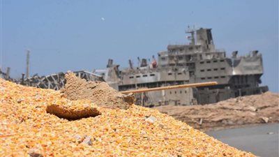 وزير الاقتصاد اللبناني: مخزون القمح يكفى لأربعة أشهر