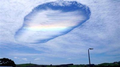 خبيرة طاقة توضح سبب دوران الأغنام  بشكل دائري