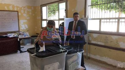 نتيجة انتخابات مجلس الشيوخ وتفاصيل موعد إعلان الفائزين والإعادة