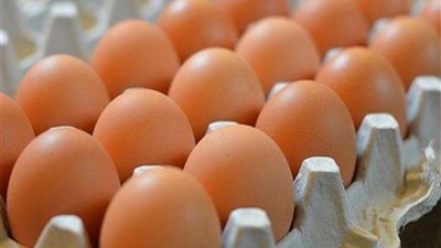 أول منظومة علمية لتصنيف وتسويق بيض المائدة في الأسواق المصرية
