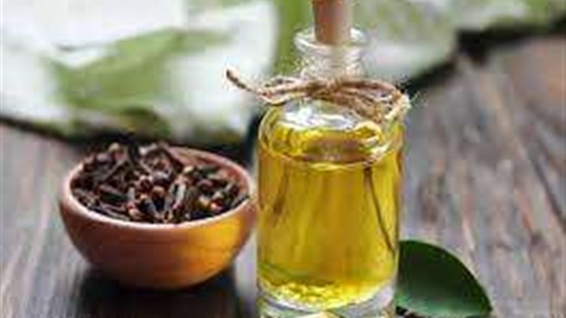 خلطة زيت الزيتون