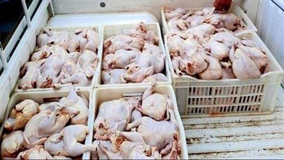 ضبط 3 طن دواجن فاسدة في مجزر بالجيزة