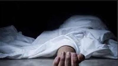 تحول الفرح إلى مآتم.. مصرع شقيقين أثناء المشاركة فى 