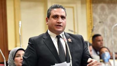 عماد خليل نائب التنسيقية: قرار البرلمان الأوروبى ملىء بالمغالطات والأكاذيب