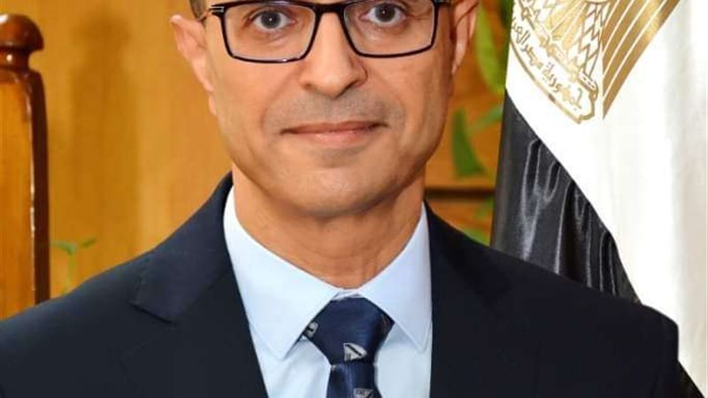 الدكتور أحمد المنشاوى