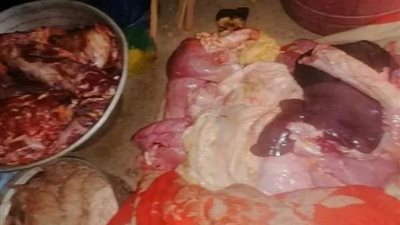 ضبط 250 كيلو لحوم مجمده مجهولة المصدر بالمنوفية