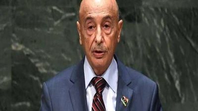 النواب الليبي يحذر: إجراءات رادعة ضد أي جهة تعترف بغير مؤسسات الدولة الشرعية