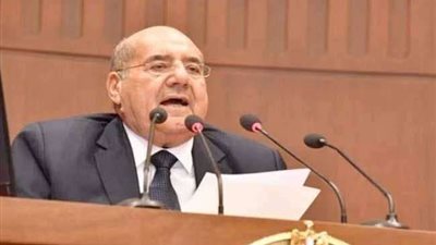 الشيوخ يستنكر قرار البرلمان الأوروبي بشأن حقوق الإنسان في مصر