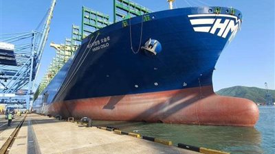 تفشي كورونا في ولاية نيو ساوث بسبب سفينة سياحية