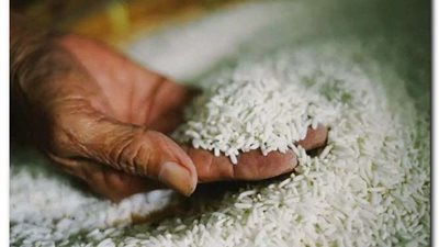 التموين تحبط محاولة بيع 30,150 طن أرز أبيض بالسوق السوداء