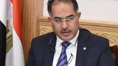 وكيل البرلمان: قانون تقسيم الدوائر خالي من التكافؤ